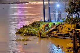 Tìm thấy thi thể mẹ và con gái 19 tháng tuổi trên sông Sài Gòn