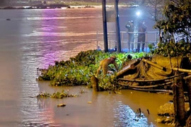 Tìm thấy thi thể mẹ và con gái 19 tháng tuổi trên sông Sài Gòn