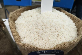 Giá gạo xuất khẩu tăng nhưng dân buôn gạo đặc sản lại than trời