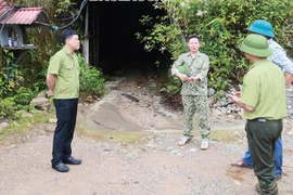 Hồ sơ Công ty Nhẫn dừng khai thác mỏ vàng lớn nhất Lào Cai