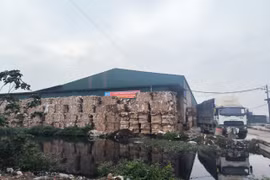 Bắt quả tang Công ty CP Phú Lâm đổ thải ra môi trường