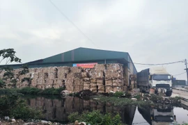 Bắt quả tang Công ty CP Phú Lâm đổ thải ra môi trường