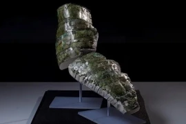 Phục hồi thành công giáp cổ từ Thế kỷ 2