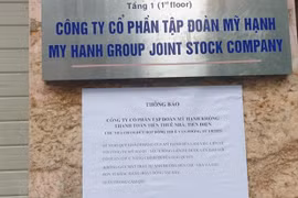 Tập đoàn Mỹ Hạnh vẽ dự án sâm Ngọc Linh huy động vốn thế nào?