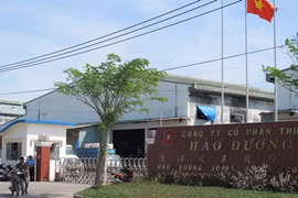 'Sức khỏe' Công ty Hào Dương vừa bị TP HCM yêu cầu thu hồi dự án