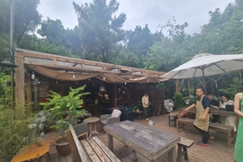 Sóc Sơn: U Lesa Retreat kinh doanh từ “máu thịt” rừng phòng hộ?