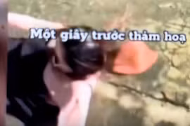 2 du khách bị voi quật ngã ở Đắk Lắk vì chọc phá