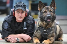 Chú chó mắc ung thư giai đoạn cuối được cảnh sát tri ân