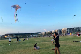 Chiêm ngưỡng cánh đồng diều cực đẹp tại TP.HCM