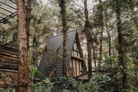 The Choai Villa Sóc Sơn "xẻ thịt rừng phòng hộ"... kinh doanh tấp nập?