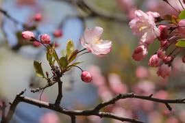 Ai sinh vào 5 ngày Âm lịch này, phúc lộc hưởng đủ đầy