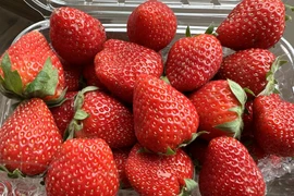 Đặc sản Sơn La ‘nhuộm đỏ’ chợ Hà Nội với giá siêu rẻ