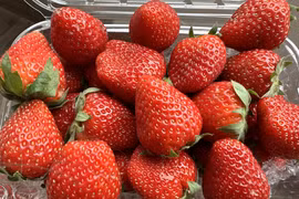 Đặc sản Sơn La ‘nhuộm đỏ’ chợ Hà Nội với giá siêu rẻ