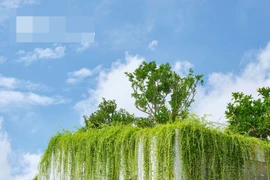 Ngôi nhà sở hữu khu vườn trên mâ' ở Phan Thiết