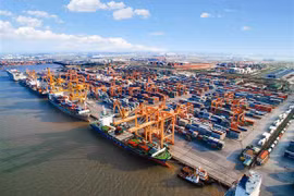 Vinalines chi hơn 1.000 tỷ đồng góp vốn lập công ty VIMC Lines