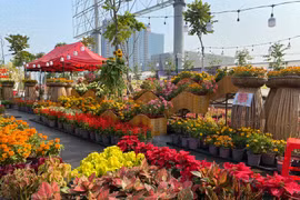 Đi chợ hoa mà chỉ chụp hình, không mua sắm có kỳ không?