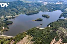 Nắng vàng, thông xanh nơi “Đà Lạt thu nhỏ” giữa lòng Quảng Ninh