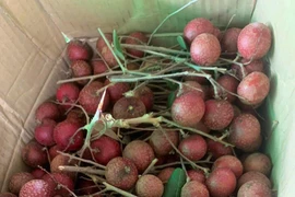 'Lộc trời cho' giá từng cao chót vót, nhãn tím nay thành hàng bình dân