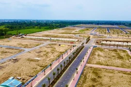 Năm 2025, thị trường bđs đất nền sẽ “hot“?