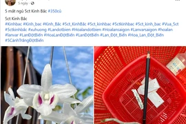 Lan đột biến sốt giá trở lại, chiêu trò để “lùa gà”?