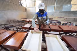 Mặt hàng nào của Việt Nam mã Mỹ chi hơn 800 triệu/tháng?