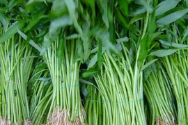 “Rau nhà nghèo” với nhiều giá trị sức khỏe, không kém đồ đắt tiền