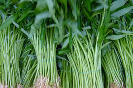 “Rau nhà nghèo” với nhiều giá trị sức khỏe, không kém đồ đắt tiền