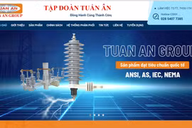 Thiết bị điện Tuấn Ân bị Tổng Công ty Điện lực TP HCM cấm thầu trong 4 năm