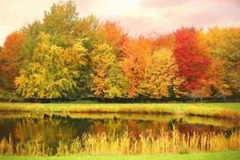 Ai sinh ngày Âm lịch này nỗ lực được đền đáp, tương lai rực rỡ