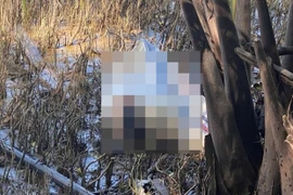 Sát hại bạn gái ở Tiền Giang, mang qua Bến Tre phi tang