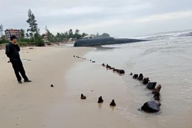 Xác minh tàu cổ trồi lên bờ biển Hội An