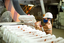 Công ty Xi măng Vicem Hà Tiên báo lỗ gần 25 tỷ đồng