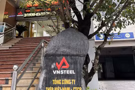 VNsteel xin điều chỉnh kế hoạch lợi nhuận còn 1 tỷ đồng