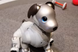 Độc đáo nghi lễ cầu nguyện cho chó robot ở Nhật Bản