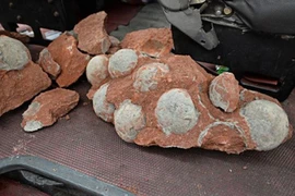 Lũ quét vô tình làm lộ “báu vật quốc gia” tại Trung Quốc