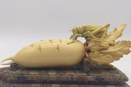 Mang vật giống củ cải đi thẩm định, người đàn ông hoảng hồn 