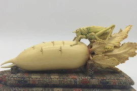 Mang vật giống củ cải đi thẩm định, người đàn ông hoảng hồn 