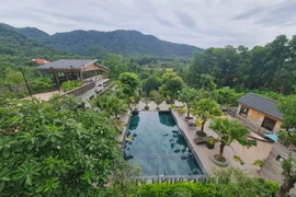 Sóc Sơn: Loạt villas, homestay phá rừng phòng hộ... Cơ quan địa phương từ chối làm việc?