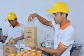 Làm trà từ trái Lêkima, thu nhập trăm triệu mỗi năm