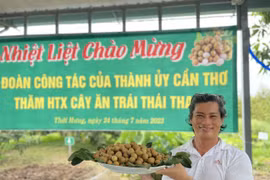 Tỷ phú miền Tây bén duyên, làm giàu với cây thanh nhãn