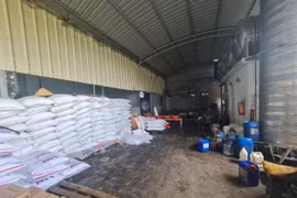 Công ty Thực phẩm Hoa Sen xả thải: Chính quyền địa phương bất lực, người dân khốn khổ?