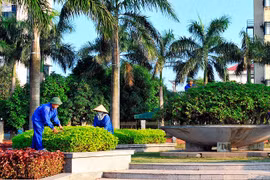 Công ty TNHH Cây xanh Công Minh có tỷ lệ trúng thầu cao đến 'bất thường'