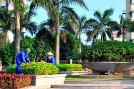 Công ty TNHH Cây xanh Công Minh có tỷ lệ trúng thầu cao đến 'bất thường'