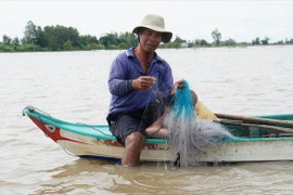 Chơi vơi mùa nước nổi: Đồng Tháp Mười 'đói' tôm, cá