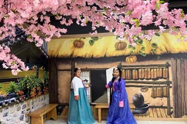 Thông tin mới nhất việc Hàn Quốc cấp visa 5 năm cho người Việt Nam