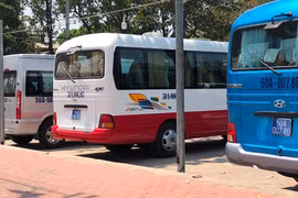 Hàng loạt ôtô biển xanh, đậu trong nhà hàng giữa trưa