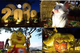 Muôn kiểu “heo vàng” ở đường hoa xuân khu đô thị lớn nhất TP HCM