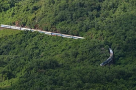 Video: “Rắn hổ mây” khổng lồ trườn trên sườn núi Việt Nam