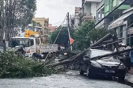 Bí thư thành ủy ở Hậu Giang lý giải việc ôtô bị trụ điện ngã đè trúng