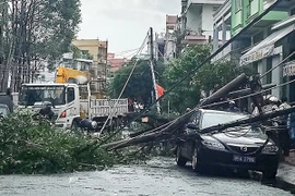 Bí thư thành ủy ở Hậu Giang lý giải việc ôtô bị trụ điện ngã đè trúng
